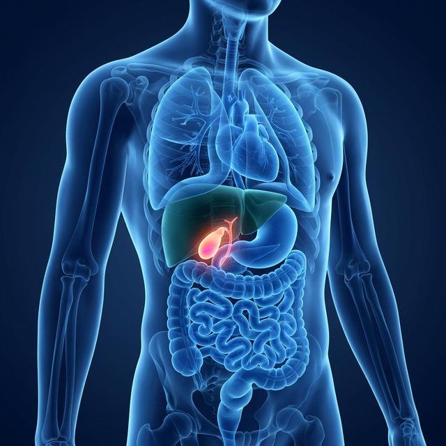Appendix, Gallbladder & Intestinal Surgery